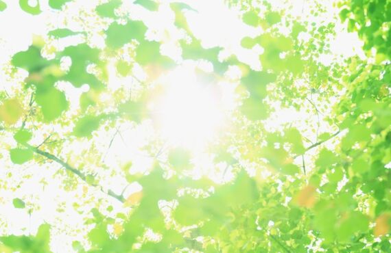 岡山で安いパーソナルトレーニングジムでダイエット